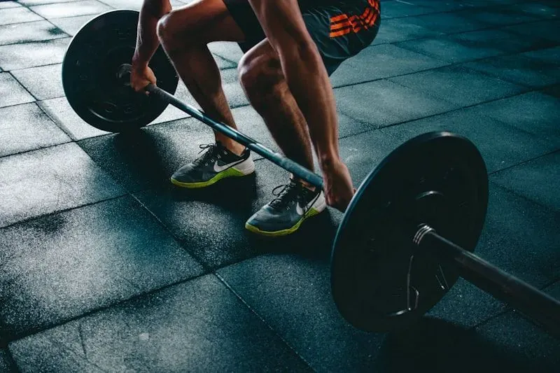 Guide complet sur la créatine monohydrate