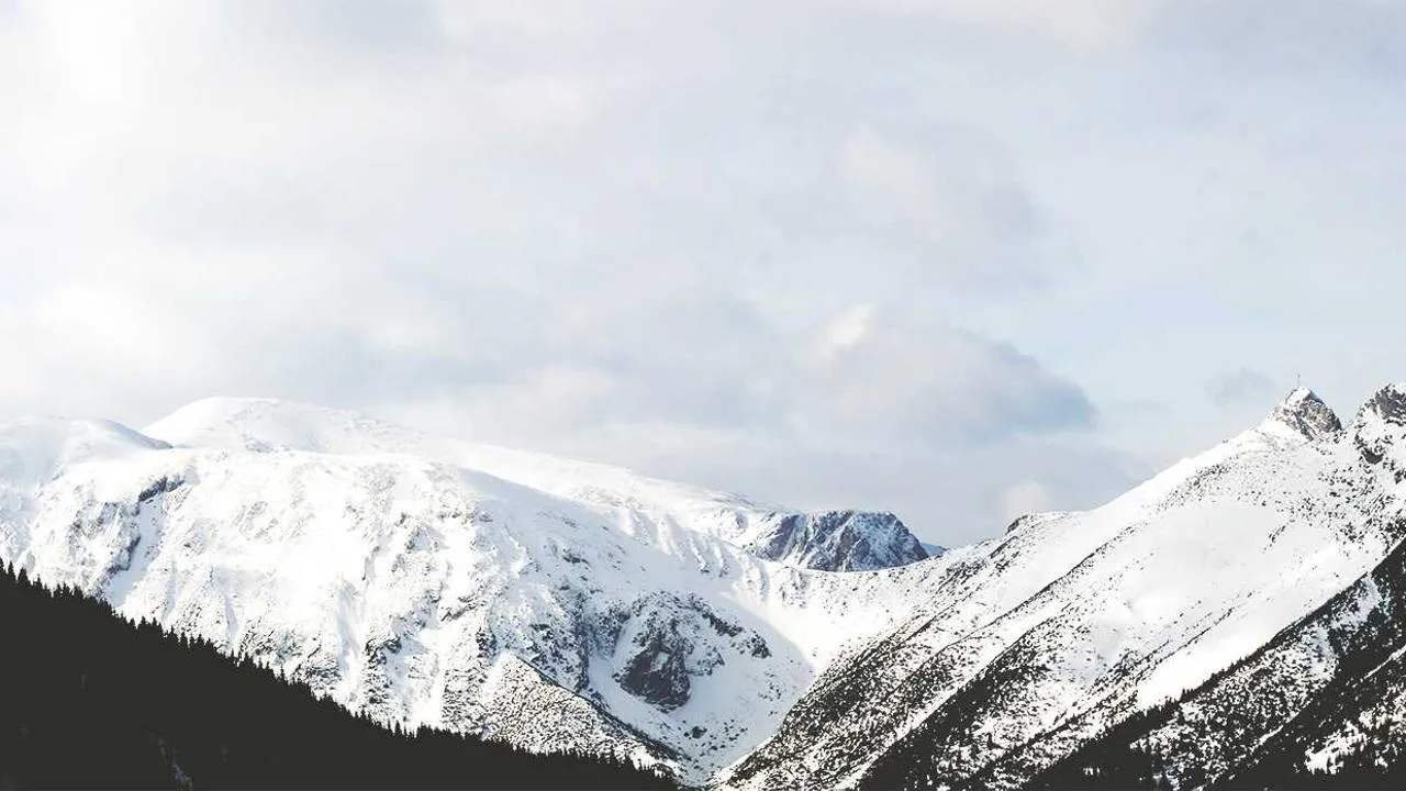 Guide de la détox de printemps avec les bons compléments