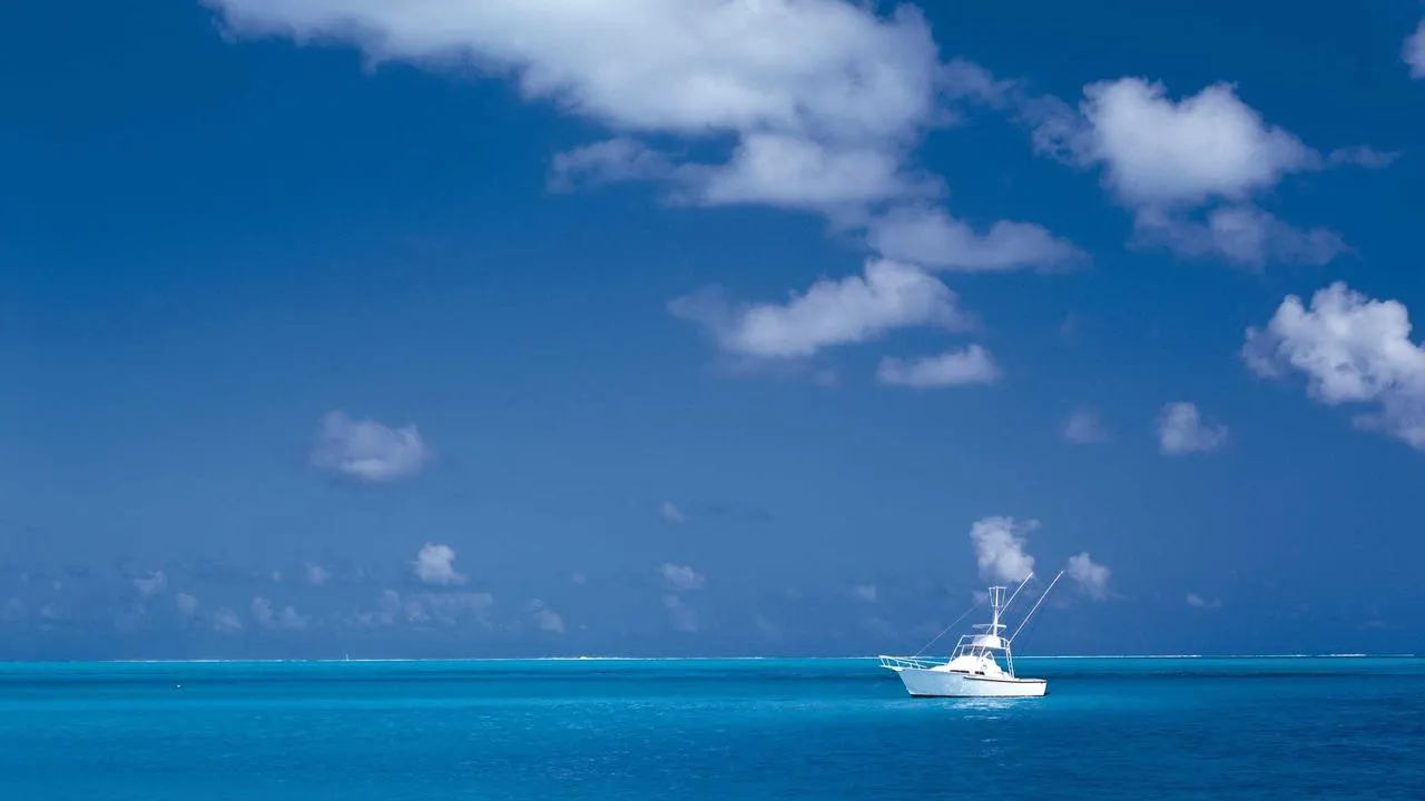 Comparatif des meilleurs pre-workouts 2026