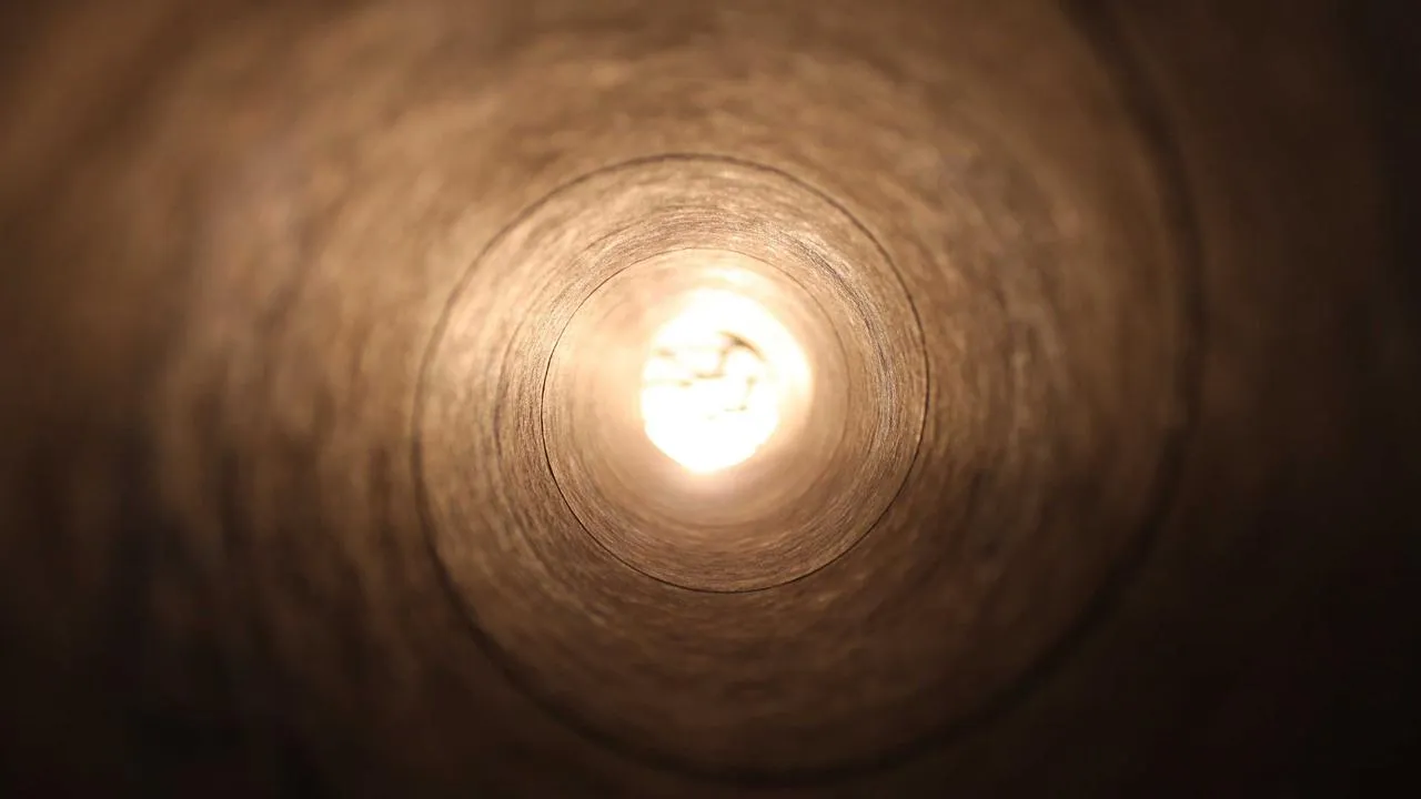 Comparatif des meilleures vitamines B 2026