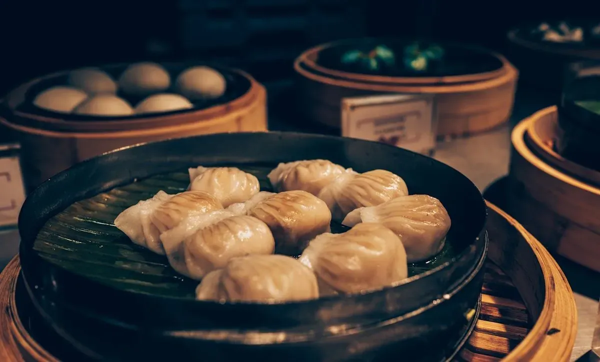 Guide complet sur les probiotiques