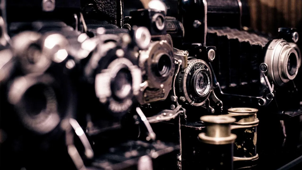 Guide complet sur la vitamine C