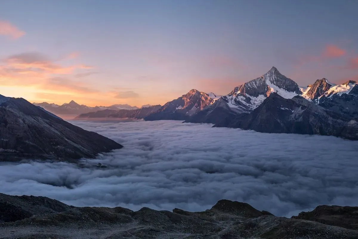 Guide complet sur la vitamine D